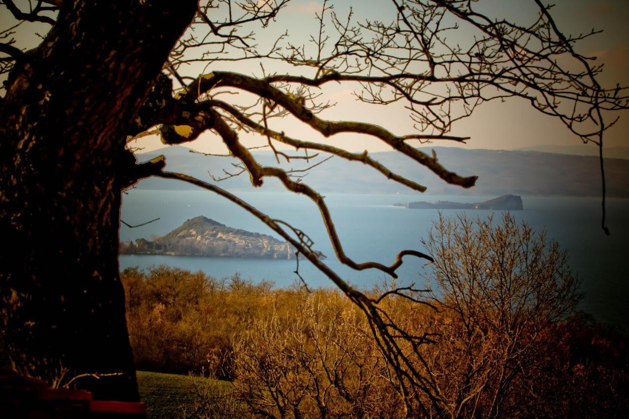 Agriturismo Specchio Del Lago Montefiascone Δωμάτιο φωτογραφία