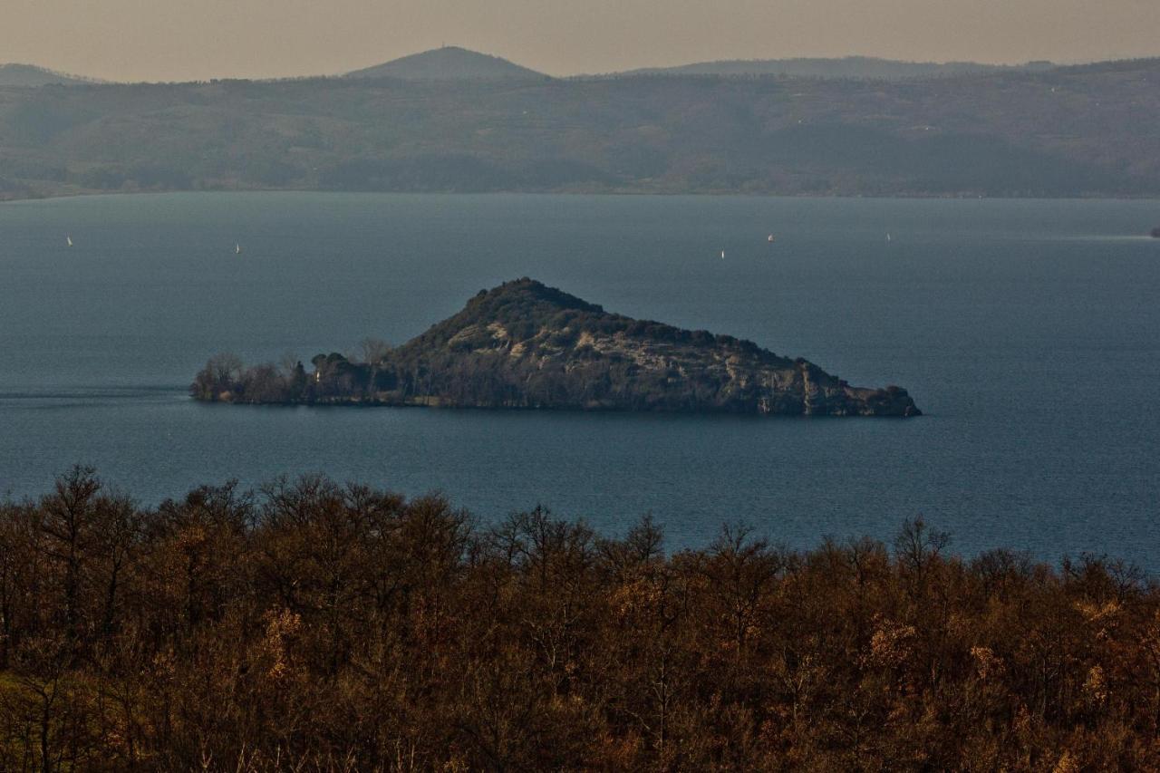 Agriturismo Specchio Del Lago Montefiascone Εξωτερικό φωτογραφία