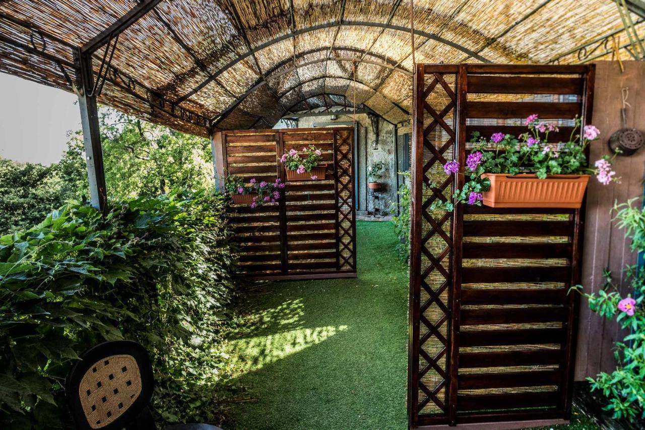 Agriturismo Specchio Del Lago Montefiascone Εξωτερικό φωτογραφία